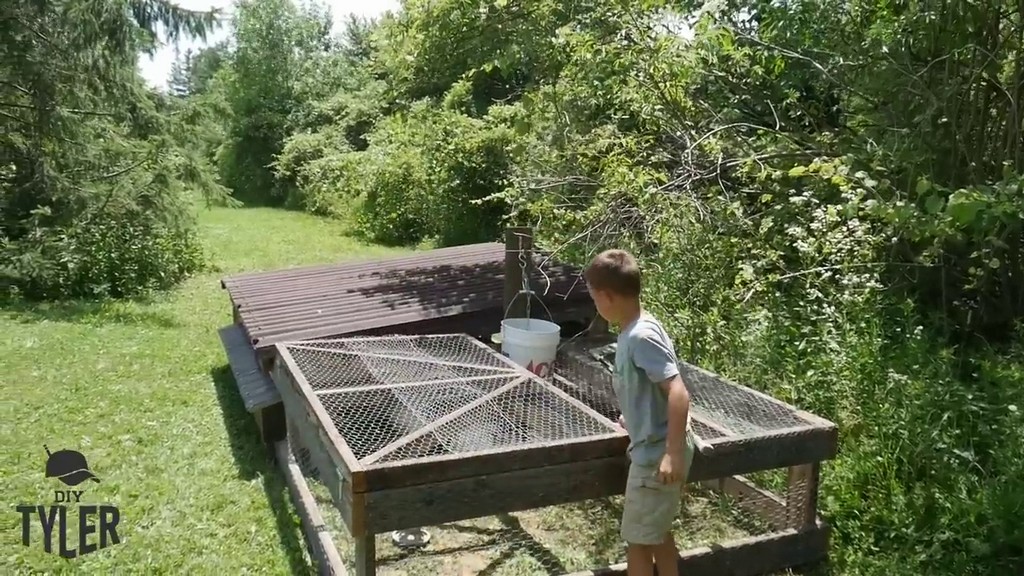 completed diy chicken tractor
