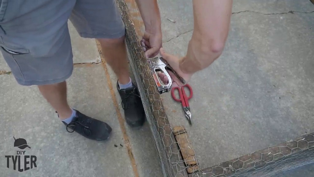 stapling chicken wire to DIY chicken tractor frame