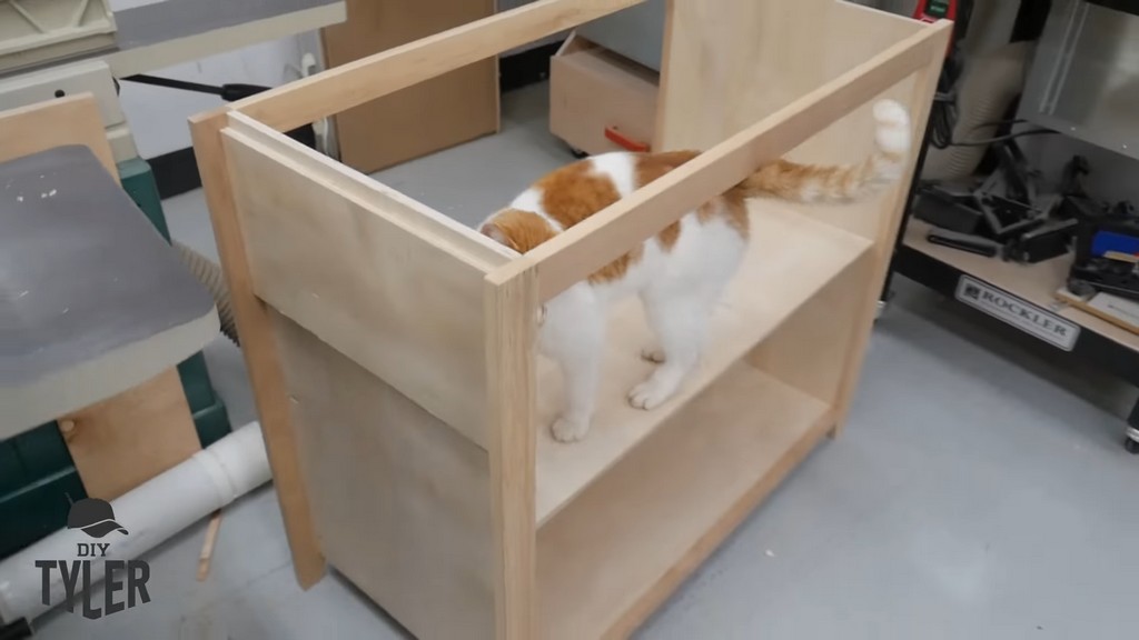 cat standing in assembled frame for DIY functional bathroom shelf